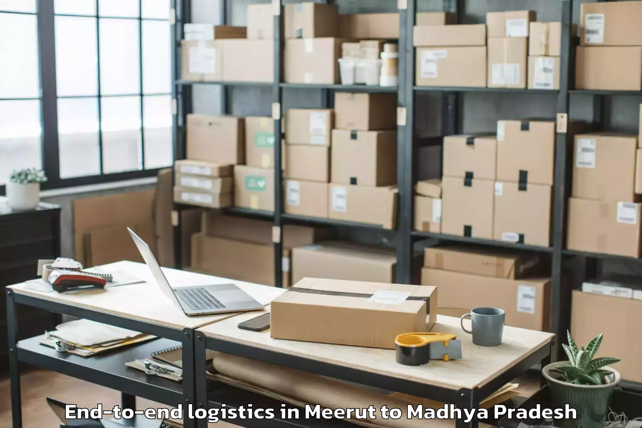 Leading Meerut to Porsa End To End Logistics Provider